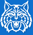 Temporary Picture depicting Arlington Wildcat Logo